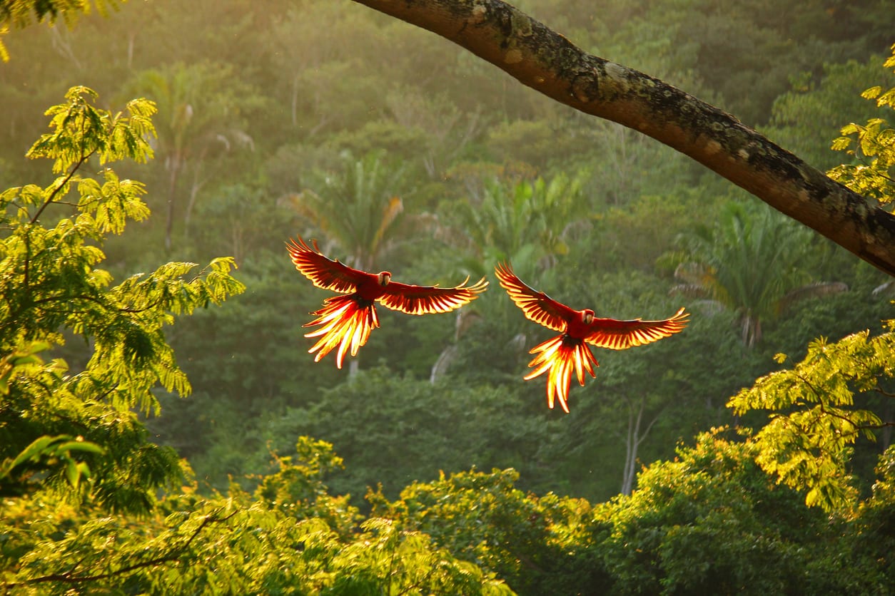 Voyage au Costa Rica