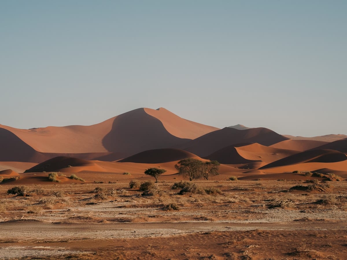 Desert landscape with sand dunes and dry grass