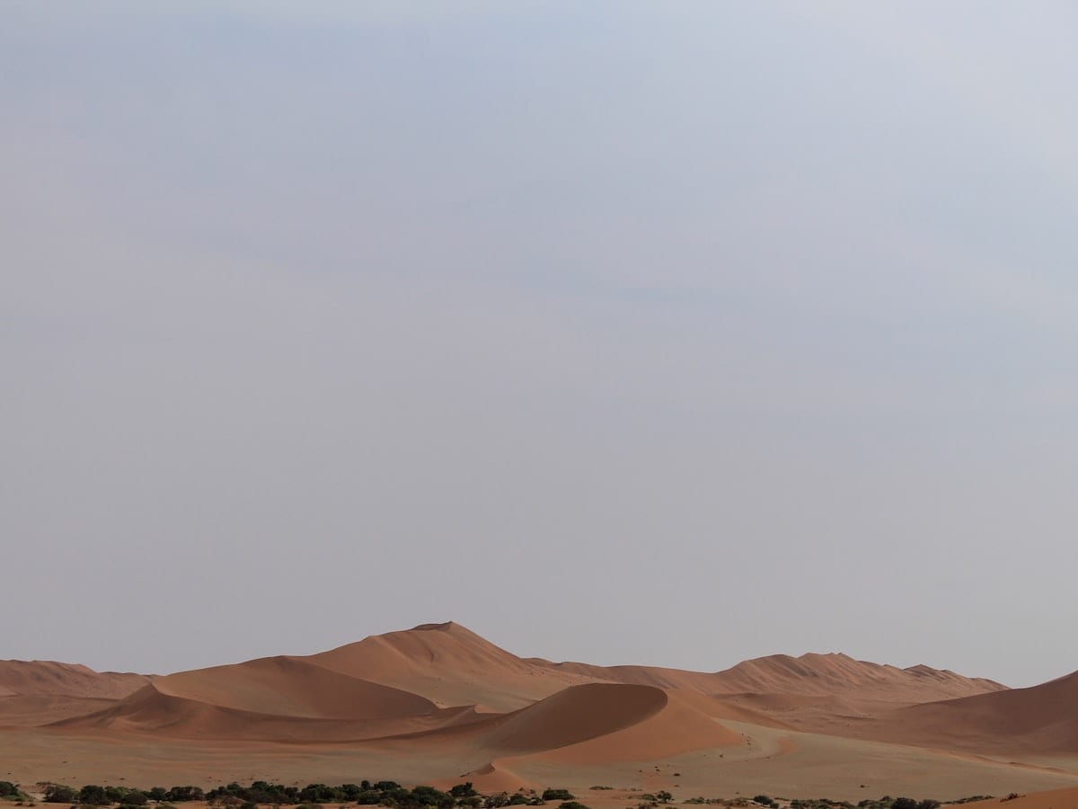 a group of sand dunes with trees in the foreground