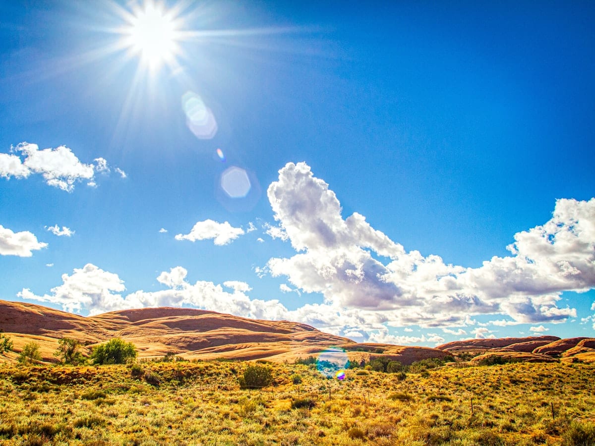 brown field under blue sky during daytime