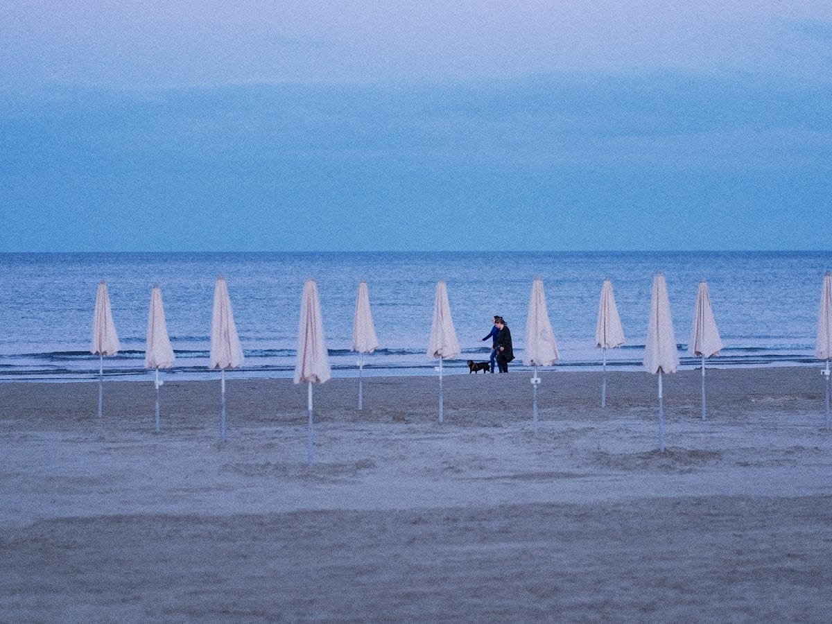 A person walks a dog on a beach with umbrellas