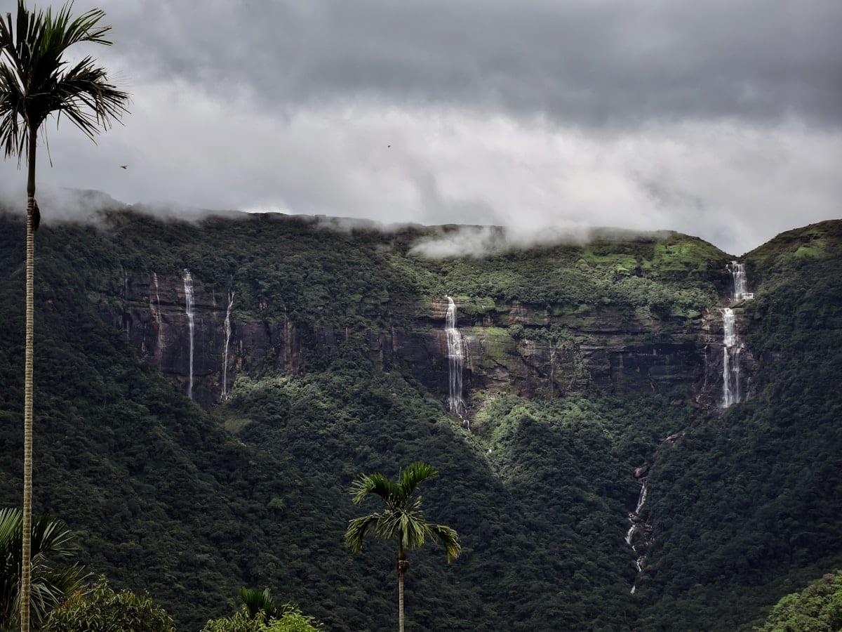 green trees near mountain under white clouds during daytime