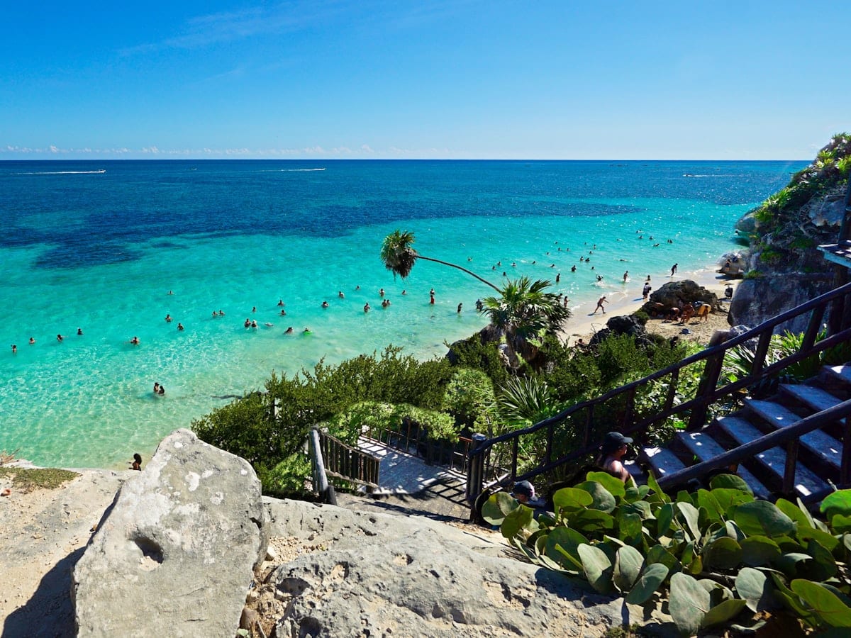 green palm trees on white sand beach during daytime