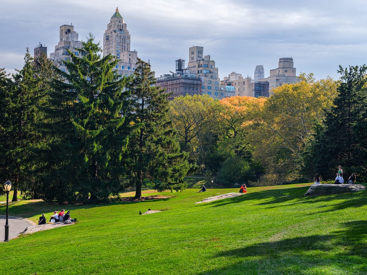 a group of people sitting on top of a lush green park